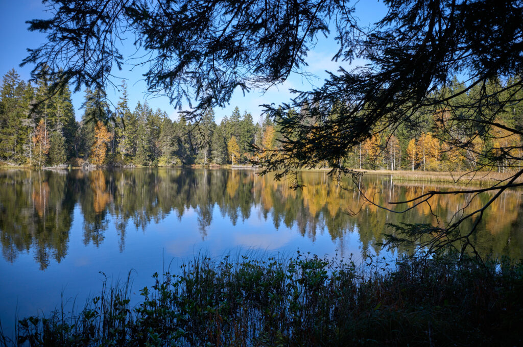 Les couleurs d&rsquo;automne.